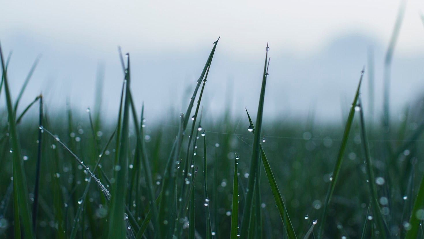 The Science Behind Indoor Air Quality and Humidity